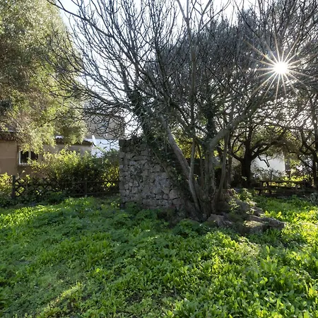 Apartamento Santa By Interhome Porto Vecchio